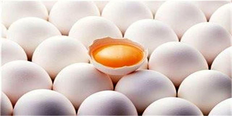 روند نزولی قیمت تخم مرغ ادامه دارد روند نزولی قیمت تخم مرغ ادامه دارد
