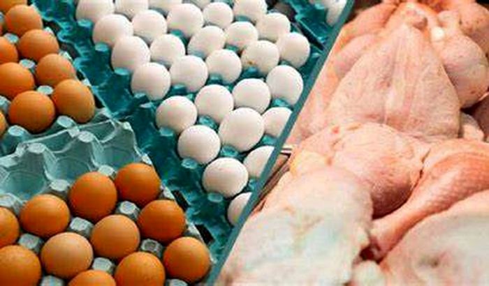 قیمت جدید مرغ و تخم مرغ در بازار (۱۴۰۰/۰۳/۱۸) + جدول قیمت جدید مرغ و تخم مرغ در بازار (۱۴۰۰/۰۳/۱۸) + جدول