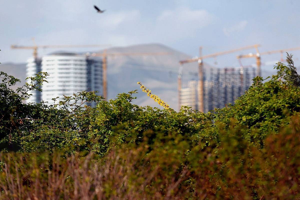 هتل 25 هزار میلیاردتومانی هتل 25 هزار میلیاردتومانی