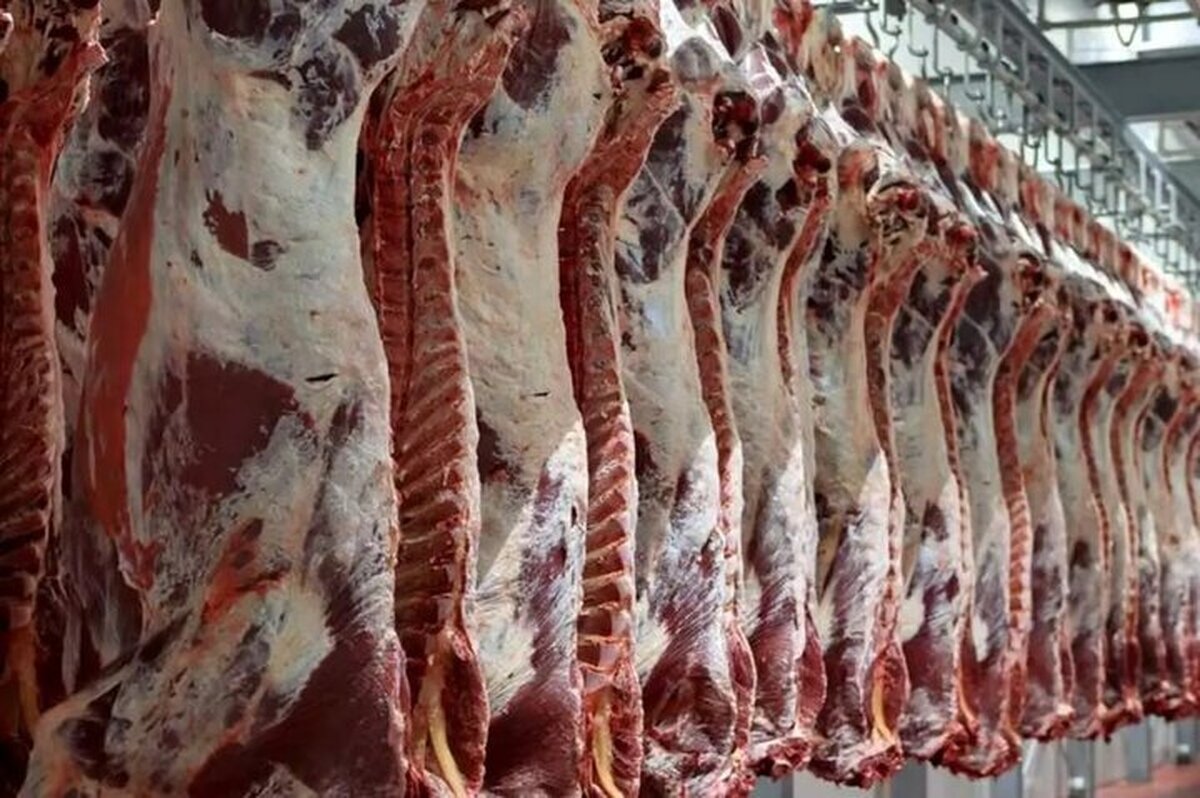 چهخبر از بازار گوشت قرمز؟ چهخبر از بازار گوشت قرمز؟
