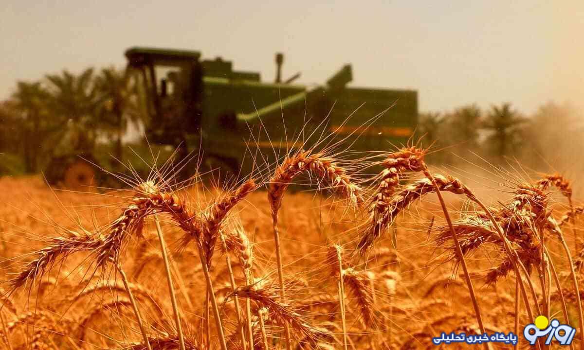 پورمحمدی: تمام مطالبات گندمکاران پرداخت شده است پورمحمدی: تمام مطالبات گندمکاران پرداخت شده است