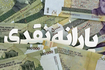 ادامه پرداخت یارانه و تخصیص کالابرگ قابل توجیه است/ با تورم 50 درصدی نباید جامعه را رها کرد