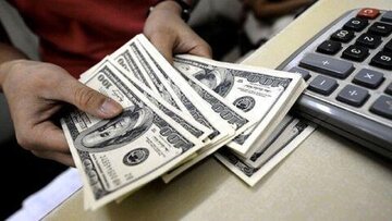 پیش بینی یک اقتصاددان درباره قیمت دلار تا پایان سال/ کف قیمت دلار چه عددی خواهد بود؟